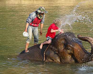 paseo con elefantes en Laos