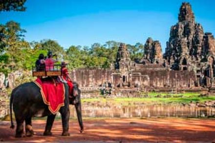 Prohíben los paseos a lomos de elefantes en Angkor